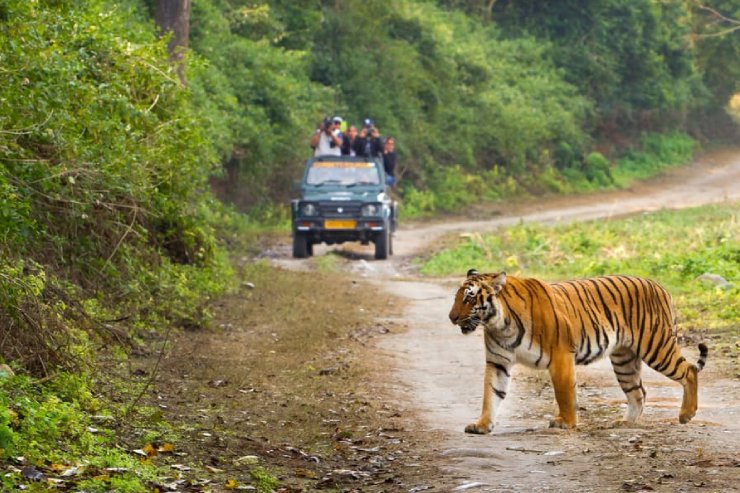 Jim Corbett tour package